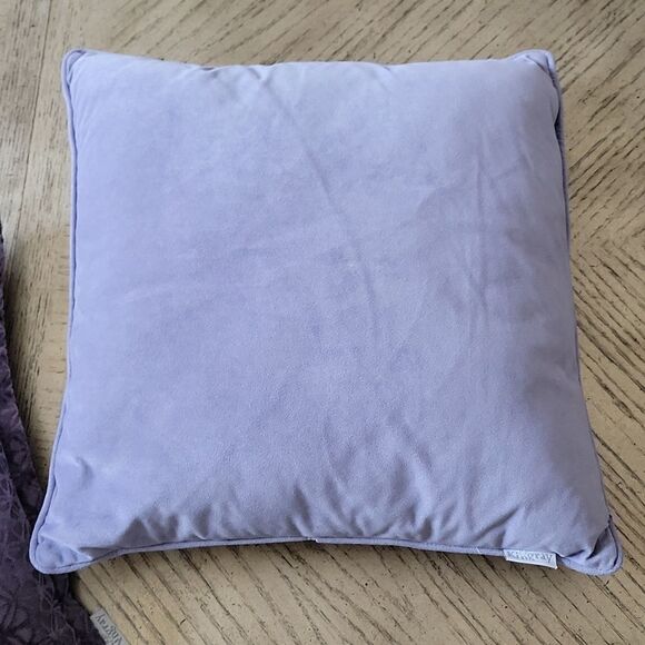 20x20 decorative velvet throw pillow with zipper Kingray💜 - Picture 3 of 8